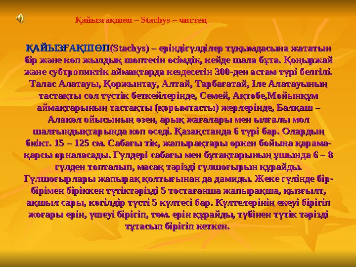 ҚАЙЫЗҒАҚШӨПҚАЙЫЗҒАҚШӨП (Stachys) – еріндігүлділер тұқымдасына жататын (Stachys) – еріндігүлділер тұқымдасына жататын бір және к
