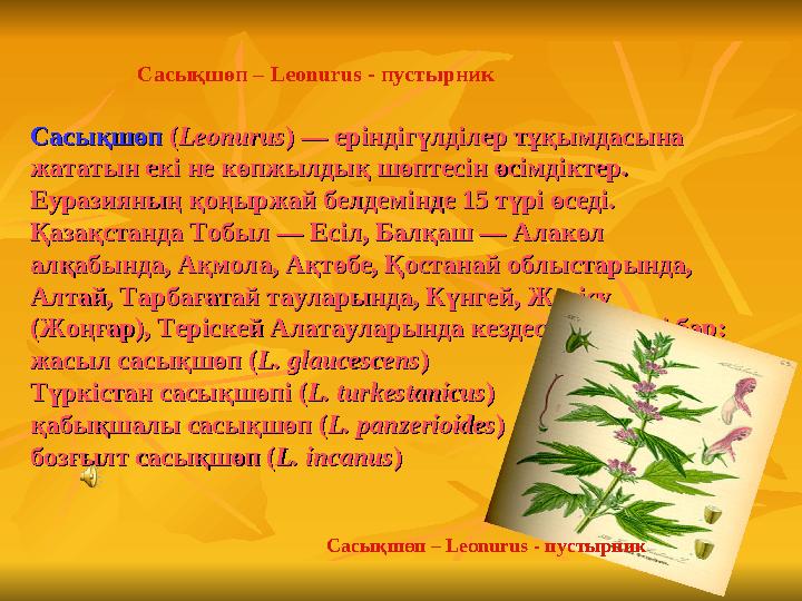 CасықшөпCасықшөп ((LeonurusLeonurus) — еріндігүлділер тұқымдасына ) — еріндігүлділер тұқымдасына жататын екі не көпжылдық шөпт