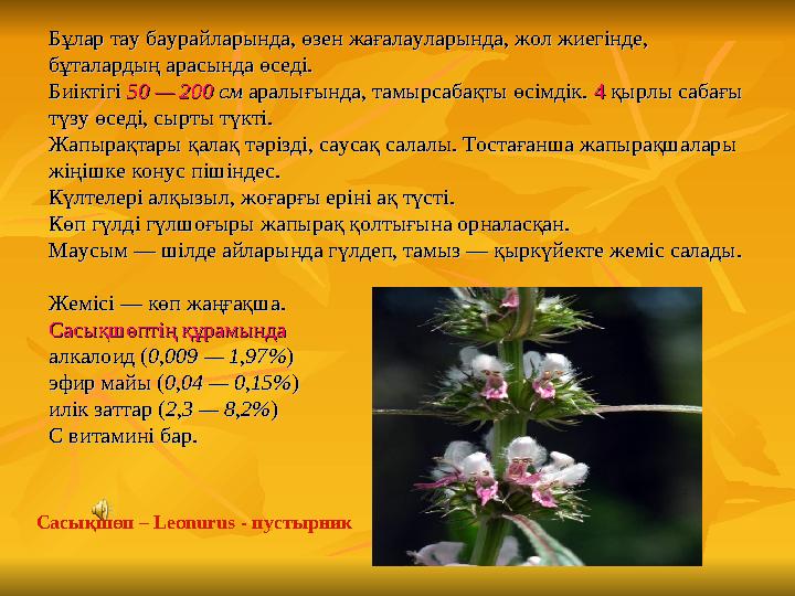 Бұлар тау баурайларында, өзен жағалауларында, жол жиегінде, Бұлар тау баурайларында, өзен жағалауларында, жол жиегінде, бұталар