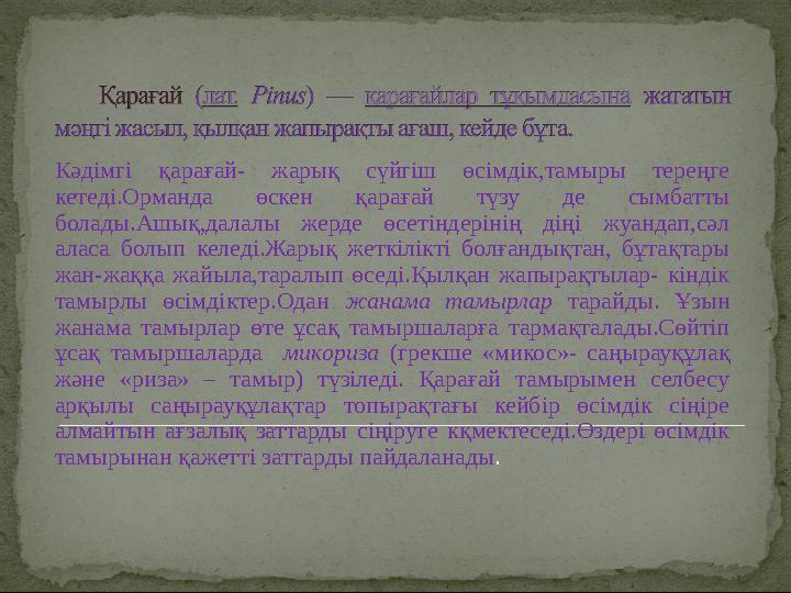Кәдімгі қарағай- жарық сүйгіш өсімдік,тамыры тереңге кетеді.Орманда өскен қарағай түзу де сымбатты болады.Ашық,далалы жерде ө