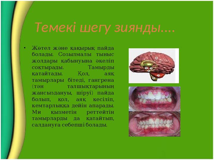 Темекі шегу зиянды.... • Жөтел және қақырық пайда . болады Созылмалы тыныс жолдары қабынуына әкеліп . соқтырады Т