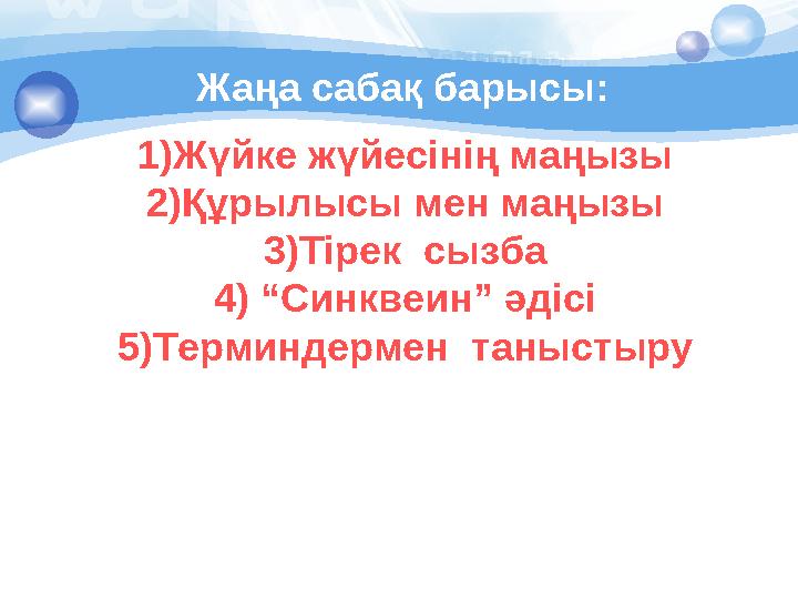 Жаңа сабақ барысы: 1)Жүйке жүйесінің маңызы 2)Құрылысы мен маңызы 3)Тірек сызба 4) “Синквеин” әдісі 5)Терминдермен таныстыру