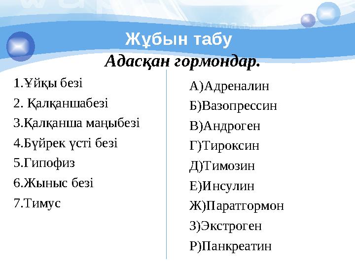 Жұбын табу Адасқан гормондар. 1.Ұйқы безі 2. Қалқаншабезі 3.Қалқанша маңыбезі 4.Бүйрек үсті безі 5.Гипофиз 6.Жыныс безі 7.Тимус