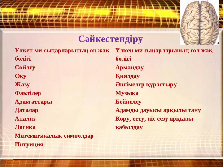 Үлкен ми сыңарларының оң жақ бөлігі Үлкен ми сыңарларының сол жақ бөлігі Сөйлеу Оқу Жазу Фактілер Адам аттары Даталар Анализ Л