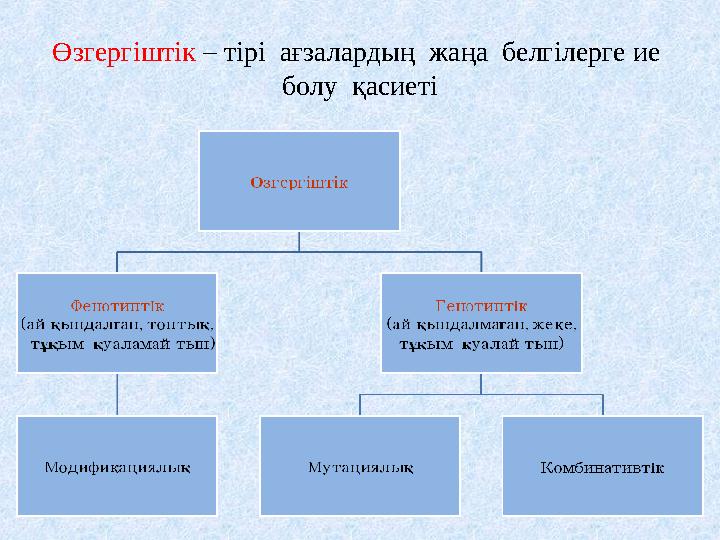 Өзгергіштік – тірі ағзалардың жаңа белгілерге ие болу қасиеті