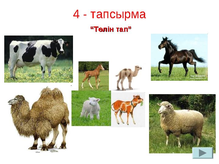 4 - тапсырма “ “ Төлін тап”Төлін тап”