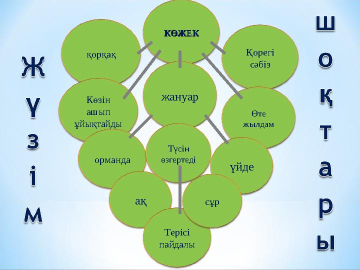 КӨЖЕККӨЖЕК қорқақ Қорегі сәбіз Көзін ашып ұйықтайды Өте жылдам жануар орманда Түсін өзгертеді үйде ақ Терісі пайдалы сұр