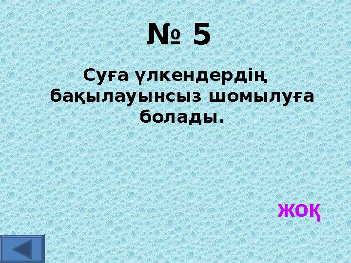 № 5 Суға үлкендердің бақылауынсыз шомылуға болады. жоқ