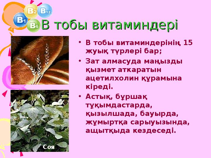 В тобы витаминдеріВ тобы витаминдері •В тобы витаминдерінің 15 жуық түрлері бар; •Зат алмасуда маңызды қызмет аткаратын