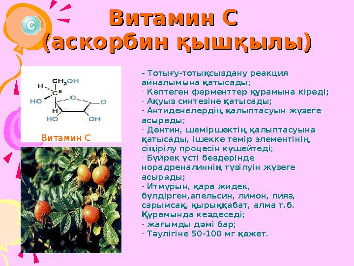 Витамин С Витамин С (аскорбин қышқылы)(аскорбин қышқылы) Витамин С - Тотығу-тотықсыздану реакция айналымына қатысады; - Көп