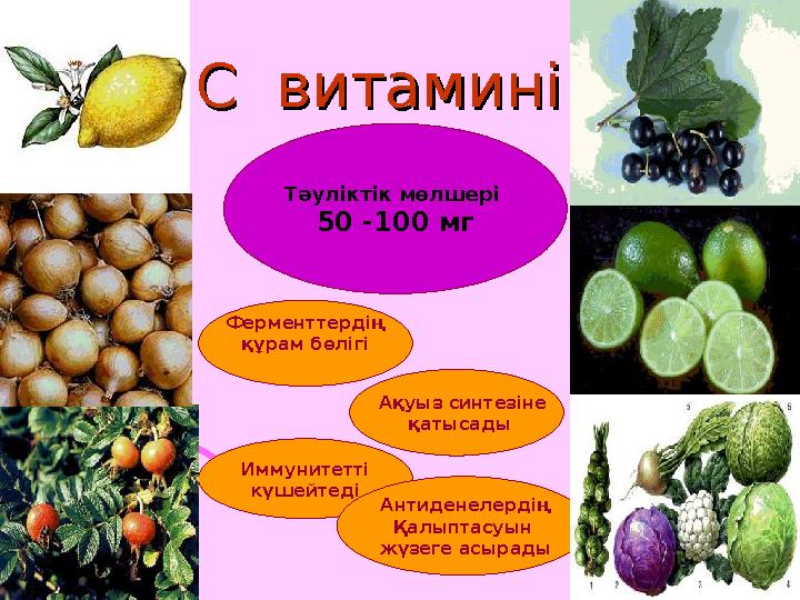 С витамині С витамині Тәуліктік мөлшері 50 -100 мг Ферменттердің құрам бөлігі Ақуыз синтезіне қатысады Иммунитетт