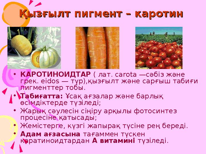 Қызғылт пигмент – каротинҚызғылт пигмент – каротин •КАРОТИНОИДТАР ( лат. carota —сәбіз және грек. eidos — түр),қызғылт жән