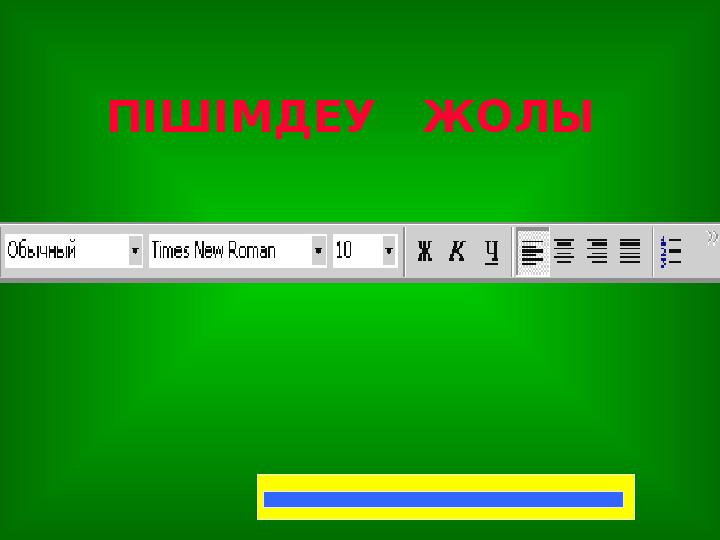 ПІШІМДЕУ ЖОЛЫ