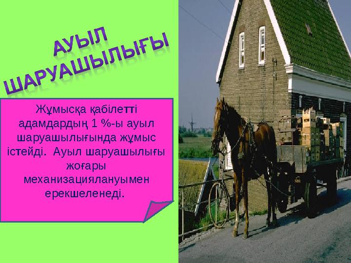 Жұмысқа қабілетті адамдардың 1 %-ы ауыл шаруашылығында жұмыс істейді. Ауыл шаруашылығы жоғары механизациялануымен ерекшел