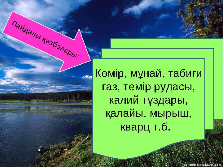 Көмір, мұнай, табиғи газ, темір рудасы, калий тұздары, қалайы, мырыш, кварц т.б.