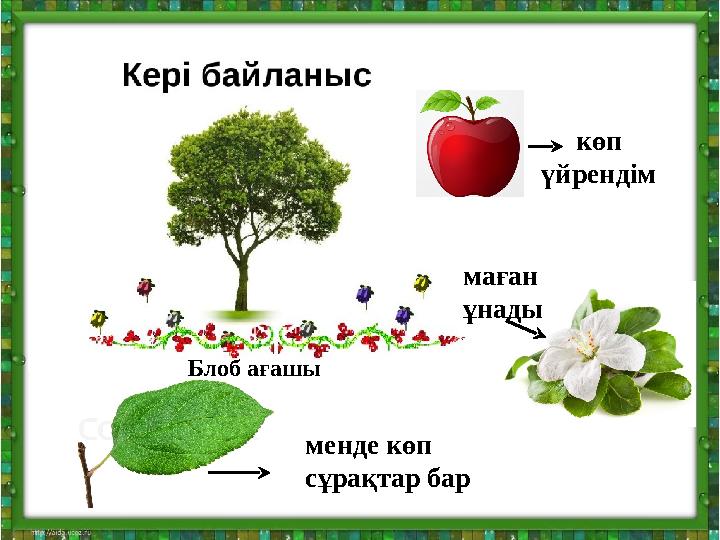 көп үйрендім маған ұнады менде көп сұрақтар барБлоб ағашы