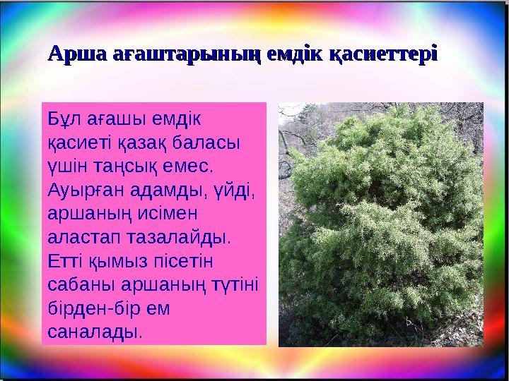 Арша ағаштарының емдік қасиеттеріАрша ағаштарының емдік қасиеттері Бұл ағашы емдік қасиеті қазақ баласы үшін таңсық емес. Ауы