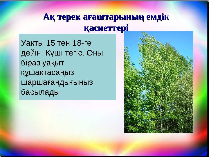 Уақты 15 тен 18-ге дейін. Күші тегіс. Оны біраз уақыт құшақтасаңыз шаршағандығыңыз басылады. Ақ терек ағаштарының емдік Ақ