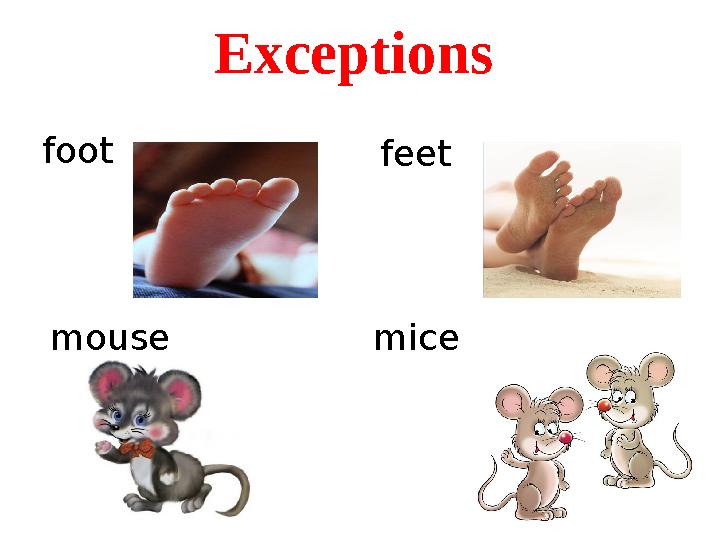 Exceptions foot feet mouse mice