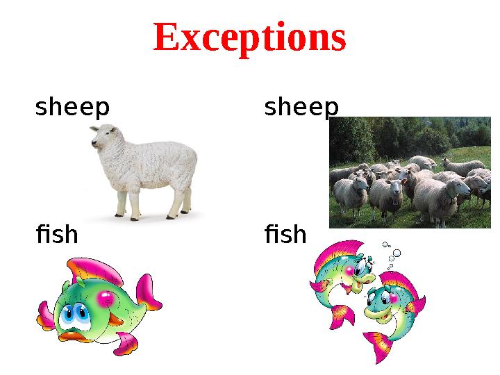 Exceptions sheep sheep fish fish