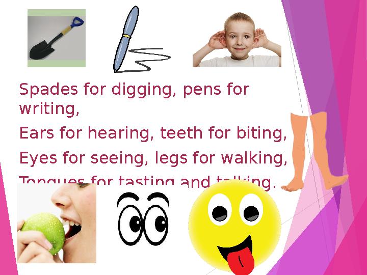 Spades for digging, pens for writing, Ears for hearing, teeth for biting, Eyes for seeing, legs for walking, Tongues for tastin