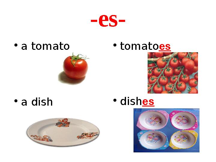 -es- • a tomato • tomato es • a dish • dish es