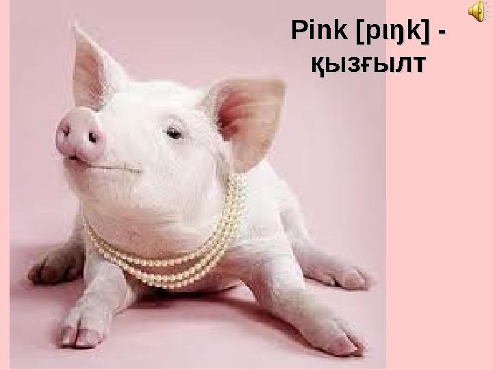 Pink Pink [p[p ιι ŋk] - ŋk] - қызғылтқызғылт