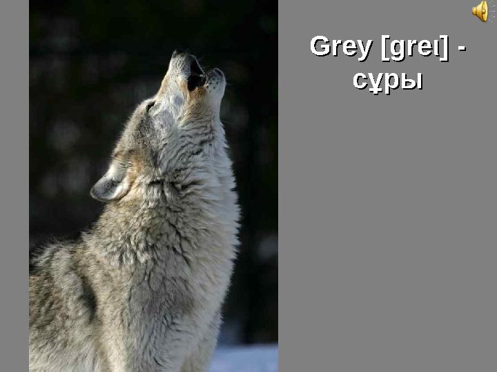 Grey Grey [gre[gre ιι ] - ] - сұрысұры
