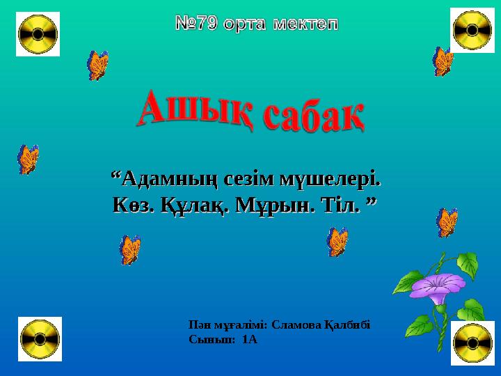 ““ Адамның сезім мүшелері. Адамның сезім мүшелері. Көз. Құлақ. Мұрын. Тіл. ”Көз. Құлақ. Мұрын. Тіл. ” Пән мұғалімі: Сламова Қ