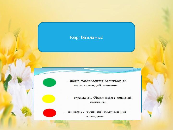Кері байланыс