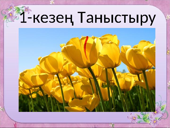 1-кезең Таныстыру