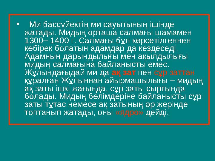 • Ми бассүйектің ми сауытының ішінде жатады. Мидың орташа салмағы шамамен 1300– 1400 г. Салмағы б ұ л көрсетілгеннен көбір