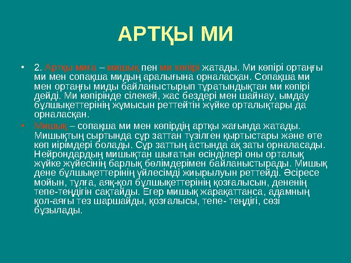 АРТҚЫ МИ • 2. Артқы миға – мишық пен ми көпірі жатады. Ми көпірі ортаңғы ми мен сопақша мидың аралығына орналасқан. Сопақ