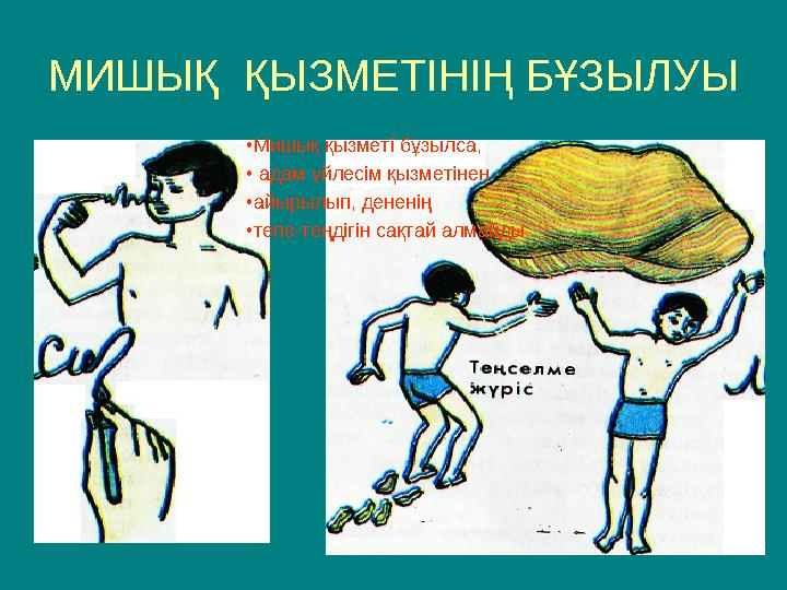 МИШЫҚ ҚЫЗМЕТІНІҢ БҰЗЫЛУЫ • Мишық қызметі бұзылса, • адам үйлесім қызметінен • айырылып, дененің • тепе-теңдігін сақтай алма