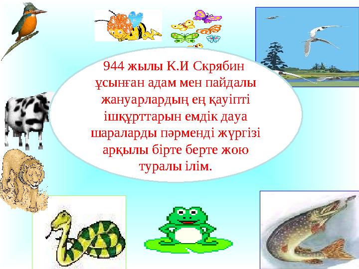 944 жылы К.И Скрябин ұсынған адам мен пайдалы жануарлардың ең қауіпті ішқұрттарын емдік дауа шараларды пәрменді жүргізі ар