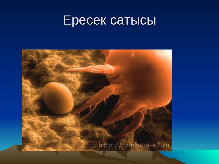 Ересек сатысыЕресек сатысы