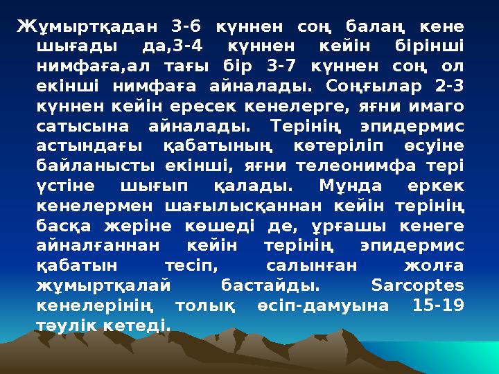 Жұмыртқадан 3-6 күннен соң балаң кене шығады да,3-4 күннен кейін бірінші нимфаға,ал тағы бір 3-7 күннен соң ол