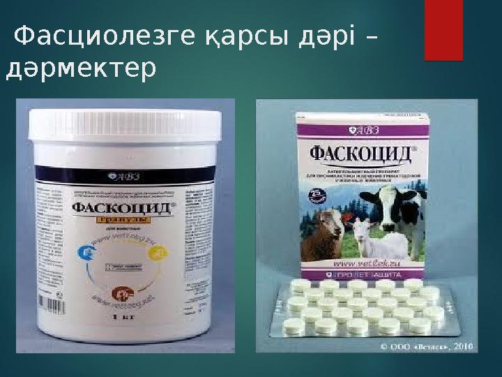 Фасциолезге қарсы дәрі – дәрмектер