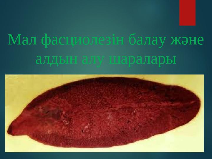 Боялған қаншықтың суреті Латекстегі секс онлайн видео