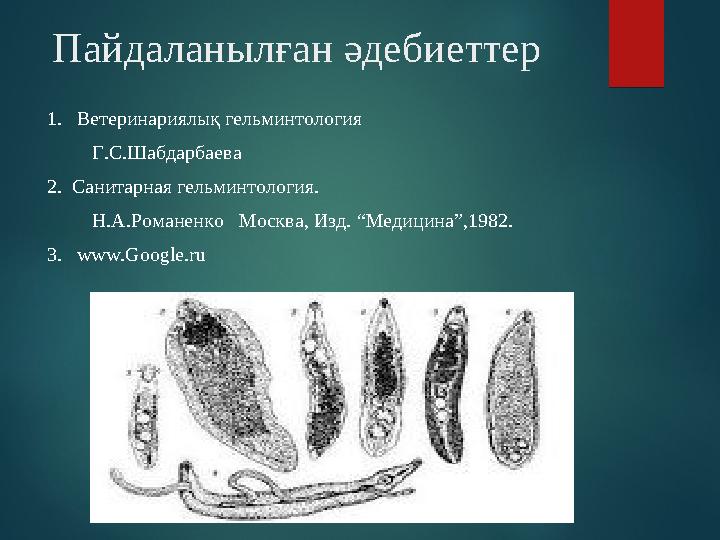 Пайдаланылған әдебиеттер 1. Ветеринариялық гельминтология Г.С.Шабдарбаева 2. Санитарная гельминтология.