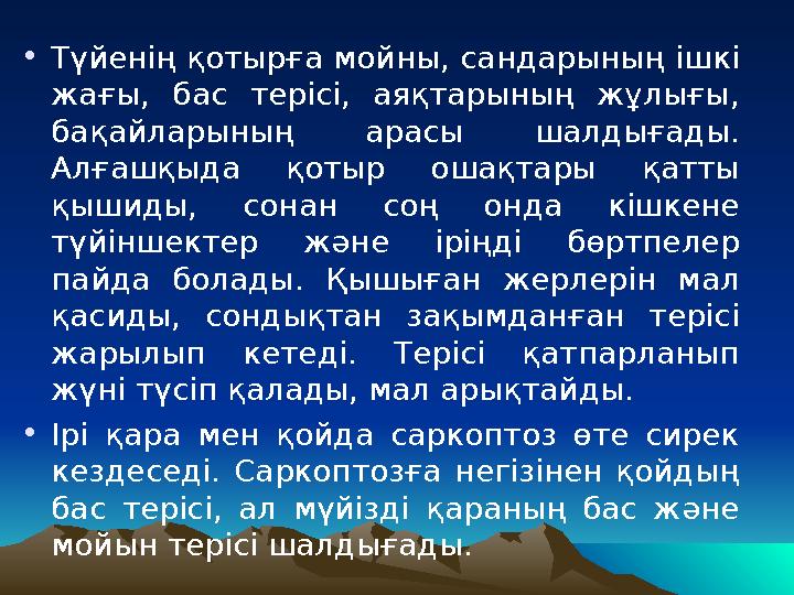 • Түйенің қотырға мойны, сандарының ішкі жағы, бас терісі, аяқтарының жұлығы, бақайларының арасы шалдығады. Алғашқыда