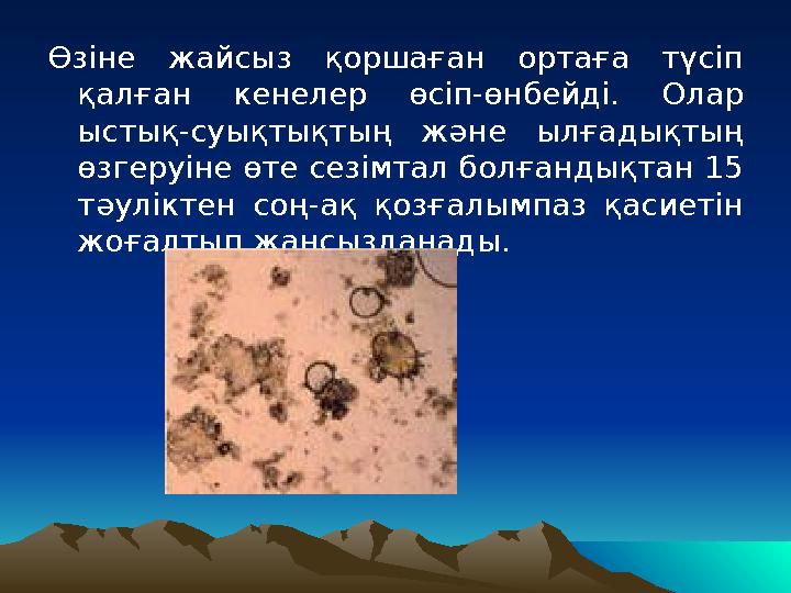 Өзіне жайсыз қоршаған ортаға түсіп қалған кенелер өсіп-өнбейді. Олар ыстық-суықтықтың және ылғадықтың өзгеруіне өте