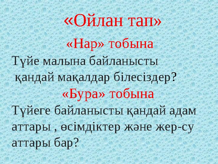 « Ойлан тап» «Нар» тобына Түйе малына байланысты қандай мақалдар білесіздер ?