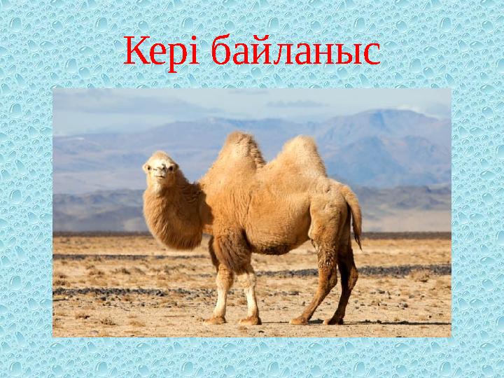 Кер і байланыс