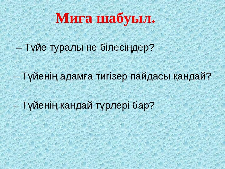 Миға шабуыл. – Түйе туралы не білесіңдер? – Түйенің адамға тигізер пайдасы қандай? – Түйенің қандай түрлері бар?