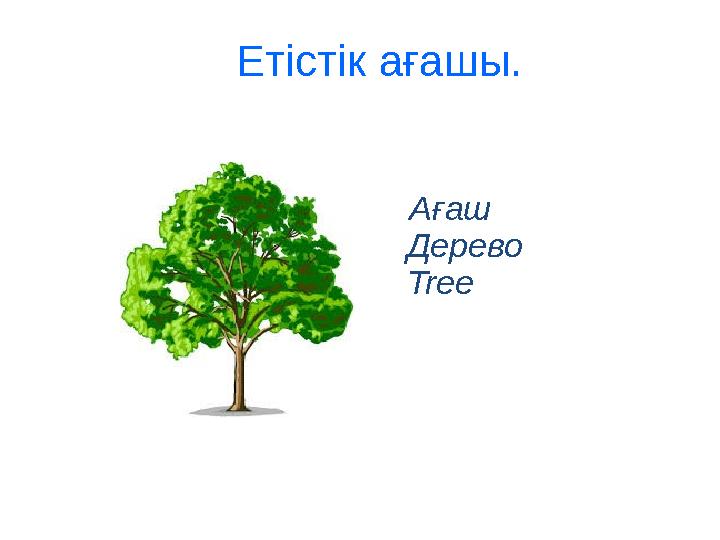 Етістік ағашы. Ағаш