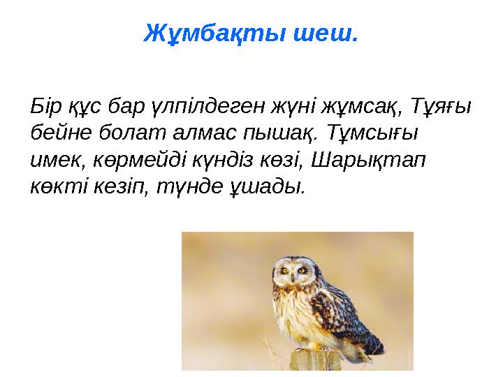 Жұмбақты шеш. Бір құс бар үлпілдеген жүні жұмсақ, Тұяғы бейне болат алмас пышақ. Тұмсығы имек, көрмейді күндіз көзі, Шарықтап