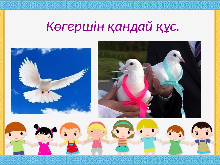 Көгершін қандай құс.