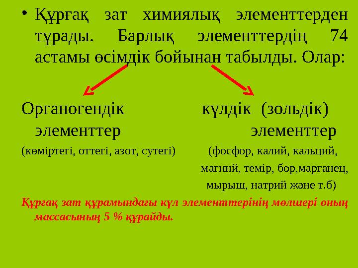 Cicciolina ретро