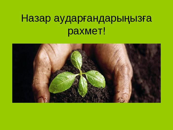 Назар аударғандарыңызға рахмет!
